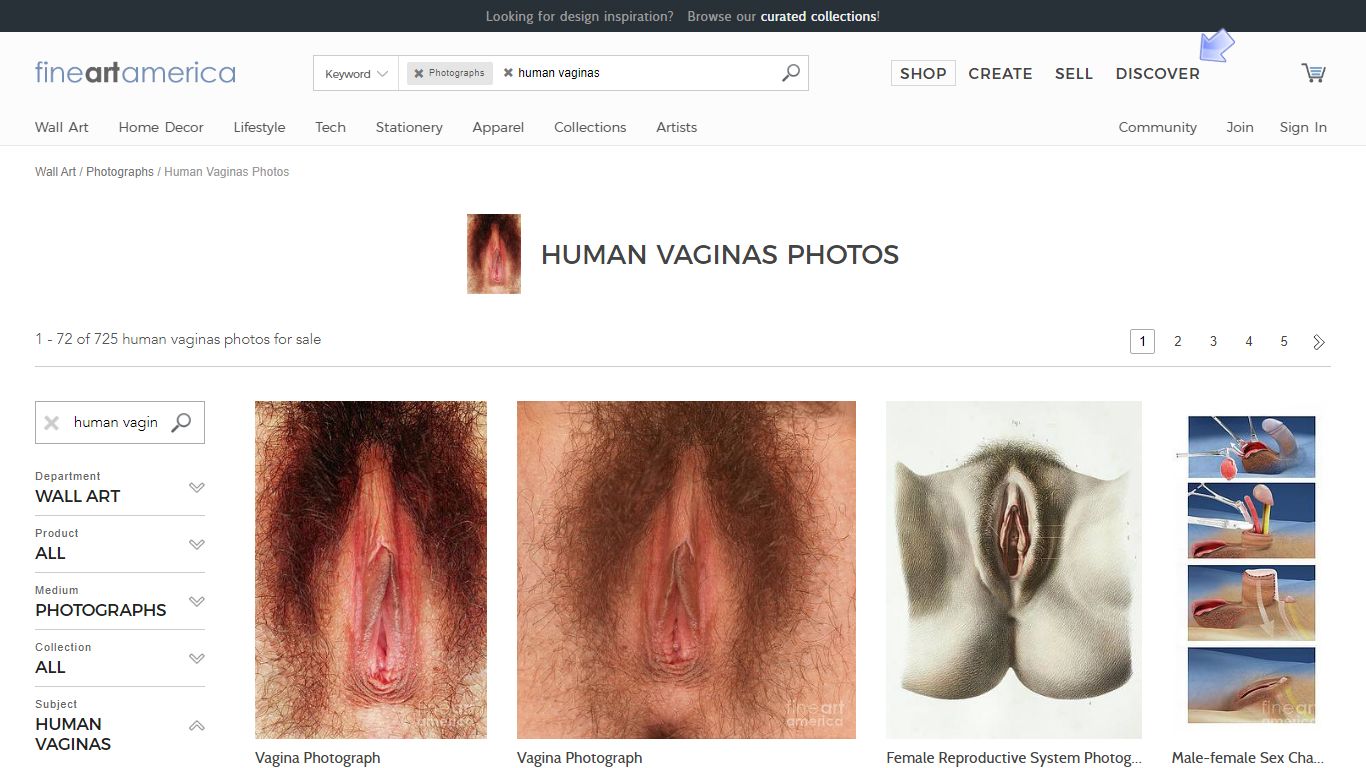 Human Vaginas Photos | Fine Art America